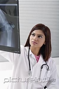 PictureIndia - Doctor with x rays