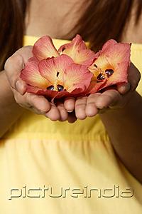 PictureIndia - Close up of hands offering flowers