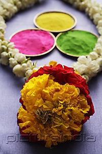 PictureIndia - Indian colored powder paints with flower garland