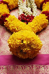 PictureIndia - Close up of flower garland