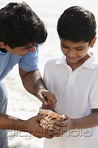 PictureIndia - Father and son looking at sea shell together