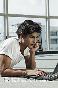PictureIndia - profile of young man working on lap top