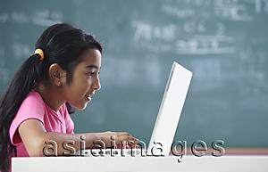Asia Images Group - girl working at laptop (horizontal)