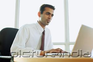 PictureIndia - Male executive using laptop