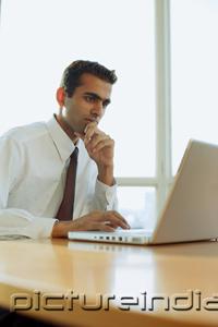 PictureIndia - Male executive using laptop, hand on chin, portrait