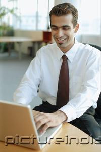 PictureIndia - Male executive using laptop, smiling