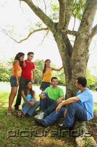 PictureIndia - Young men and women, sitting in park, talking