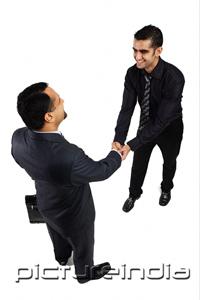 PictureIndia - Two businessmen shaking hands