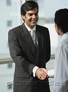 PictureIndia - Businessmen shaking hands